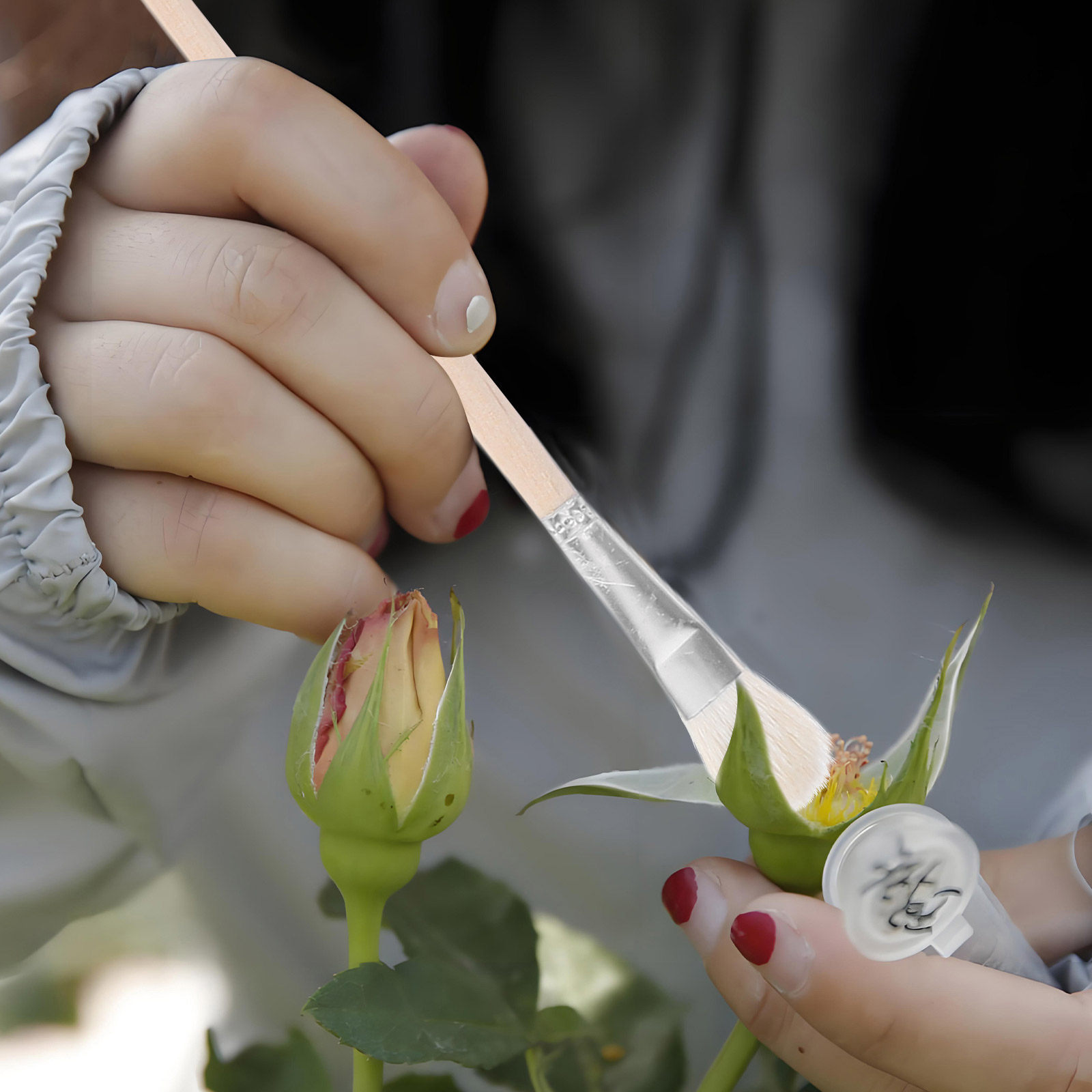 11Pcs Manual Pollinator Brush  - Gardening Tools Kit recension och pris