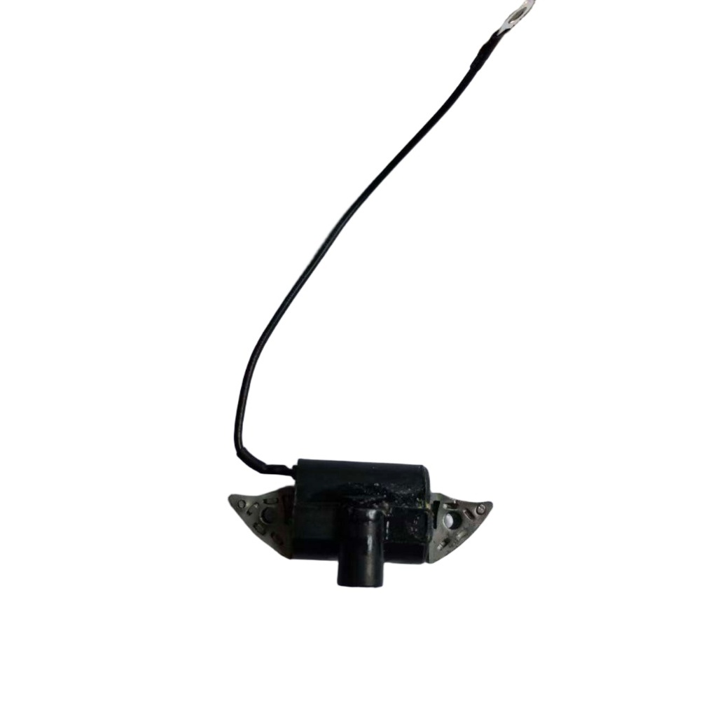 Chainsaw Repair Ignition Coil  - Gardening Tools Required recension och pris