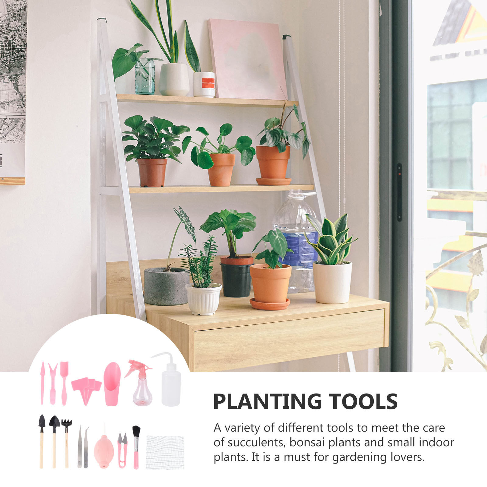 1Set Mini Succulent Planting T - Gardening Tools Kit recension och pris
