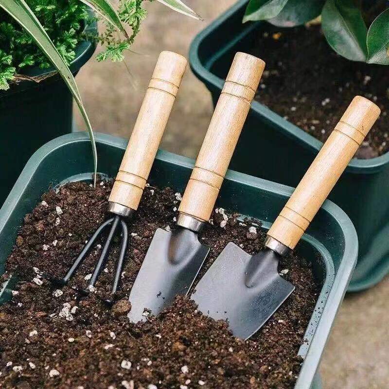 3PC/1Set Mini Gardening Tools  - Gardening Tools Kit recension och pris