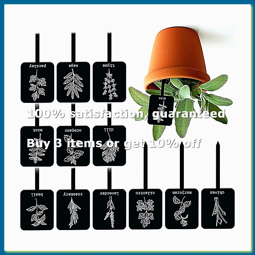 24Pcs Acrylic Plant Label Sign - Gardening Tools With Names recension och pris